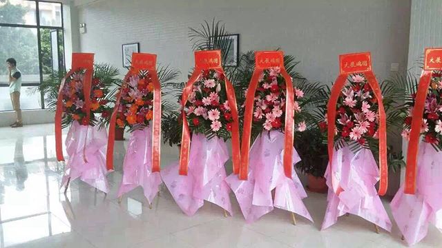 香草视频APP污下载裝飾開業大吉.jpg