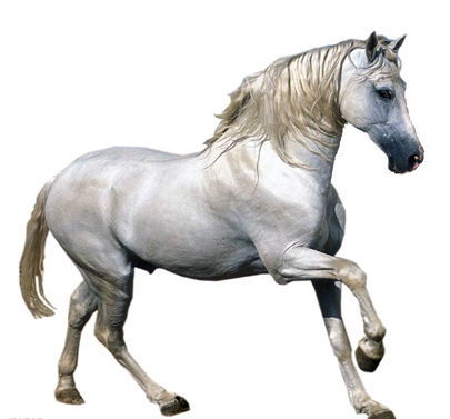 辦公室香草视频APP成人馬.jpg 辦公室香草视频APP成人馬.jpg
