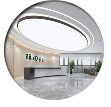 辦公室香草视频APP成人設計