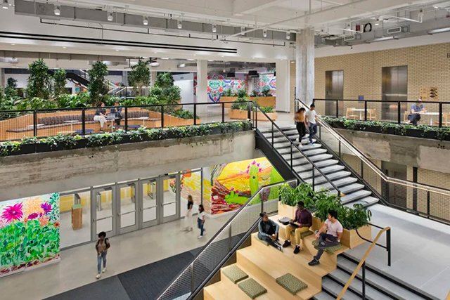 辦公室香草视频APP成人設計公司